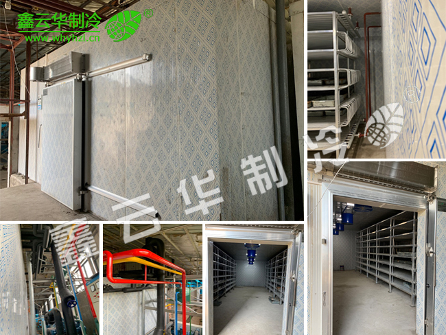 黃岡仙桃農(nóng)業(yè)速凍庫項目展示