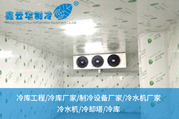 冷庫(kù)工程：如何重塑傳統(tǒng)倉(cāng)儲(chǔ)格局？